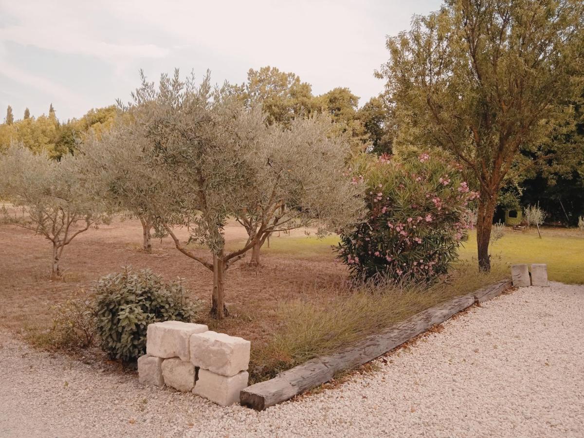 Gite Du Mas De La Finiere ,Avec Spa Interieur Châteaurenard Εξωτερικό φωτογραφία