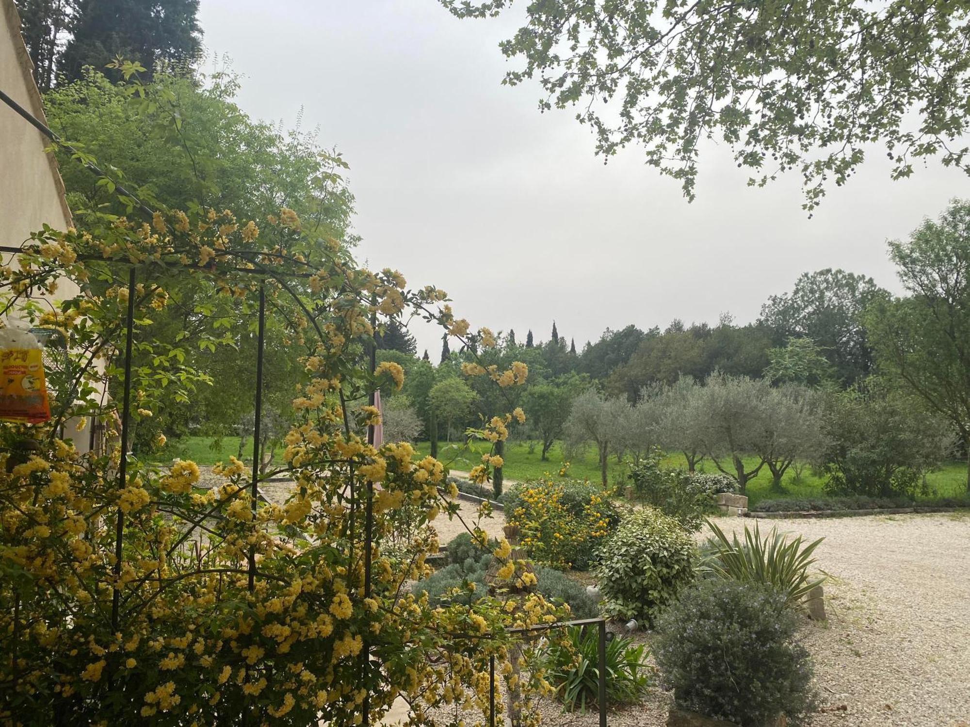 Gite Du Mas De La Finiere ,Avec Spa Interieur Châteaurenard Εξωτερικό φωτογραφία